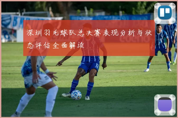 深圳羽毛球队总决赛表现分析与状态评估全面解读