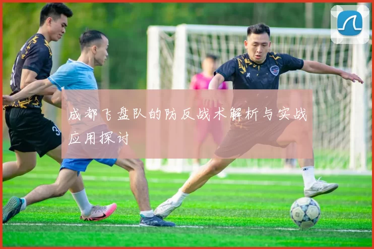 成都飞盘队的防反战术解析与实战应用探讨