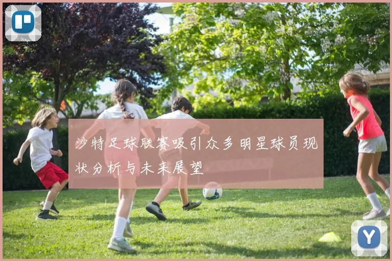 沙特足球联赛吸引众多明星球员现状分析与未来展望