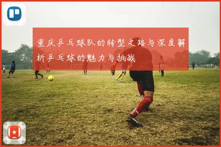 重庆乒乓球队的转型之路与深度解析乒乓球的魅力与挑战