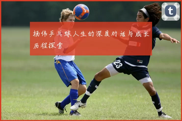 杨伟乒乓球人生的深度对话与成长历程探索