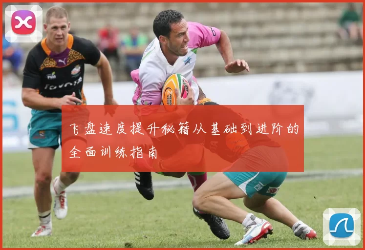 飞盘速度提升秘籍从基础到进阶的全面训练指南