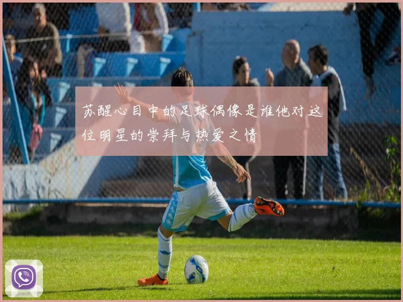 苏醒心目中的足球偶像是谁他对这位明星的崇拜与热爱之情