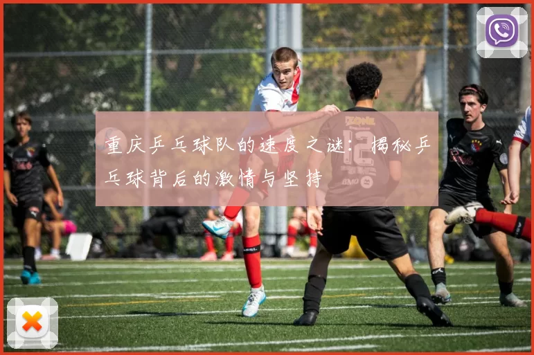 重庆乒乓球队的速度之谜：揭秘乒乓球背后的激情与坚持
