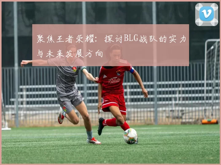 聚焦王者荣耀：探讨BLG战队的实力与未来发展方向