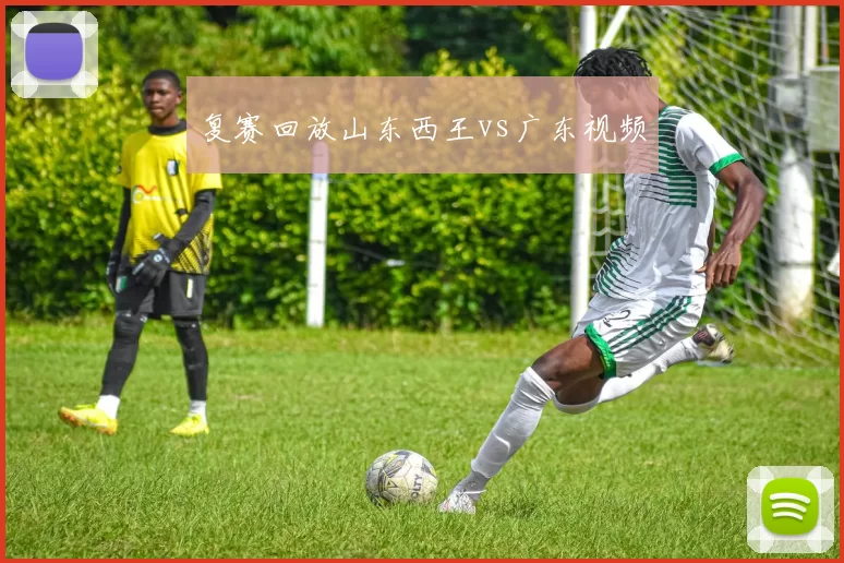 复赛回放山东西王vs广东视频