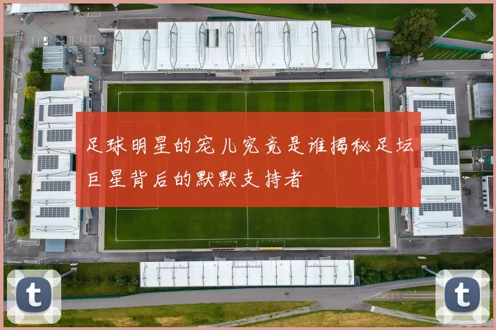 足球明星的宠儿究竟是谁揭秘足坛巨星背后的默默支持者
