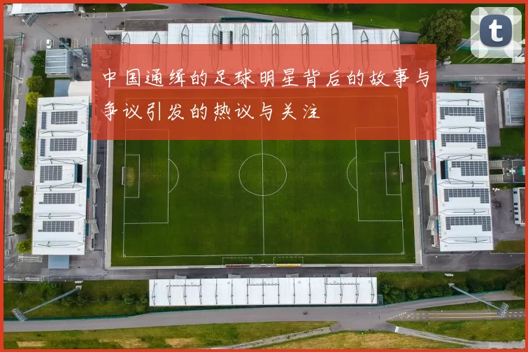 中国通缉的足球明星背后的故事与争议引发的热议与关注