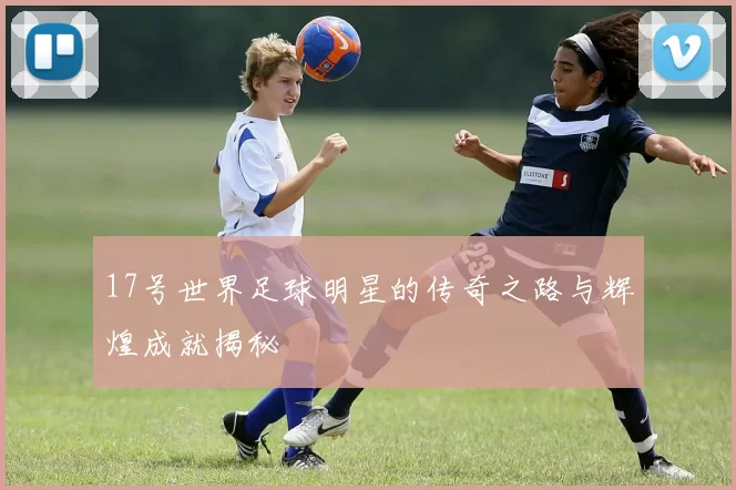 17号世界足球明星的传奇之路与辉煌成就揭秘