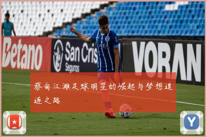 蔡甸江滩足球明星的崛起与梦想追逐之路