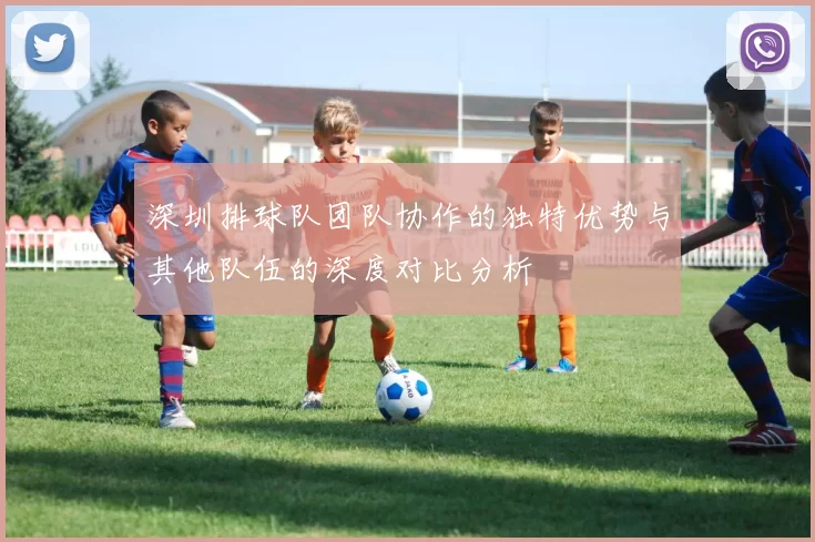深圳排球队团队协作的独特优势与其他队伍的深度对比分析