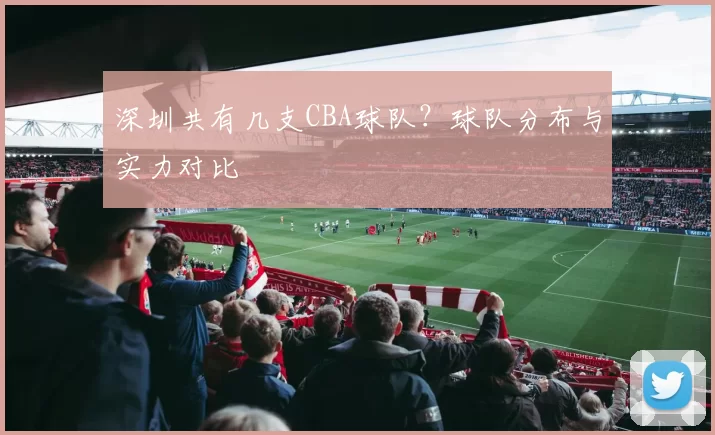 深圳共有几支CBA球队？球队分布与实力对比