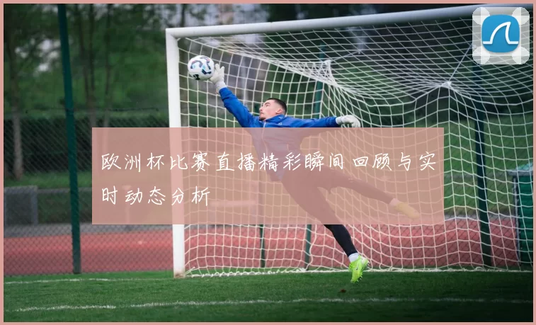 欧洲杯比赛直播精彩瞬间回顾与实时动态分析