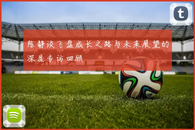 陈静谈飞盘成长之路与未来展望的深度专访回顾