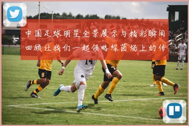 中国足球明星全景展示与精彩瞬间回顾让我们一起领略绿茵场上的传奇风采
